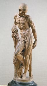 Uomo muscoloso, 1569 da Paludanus